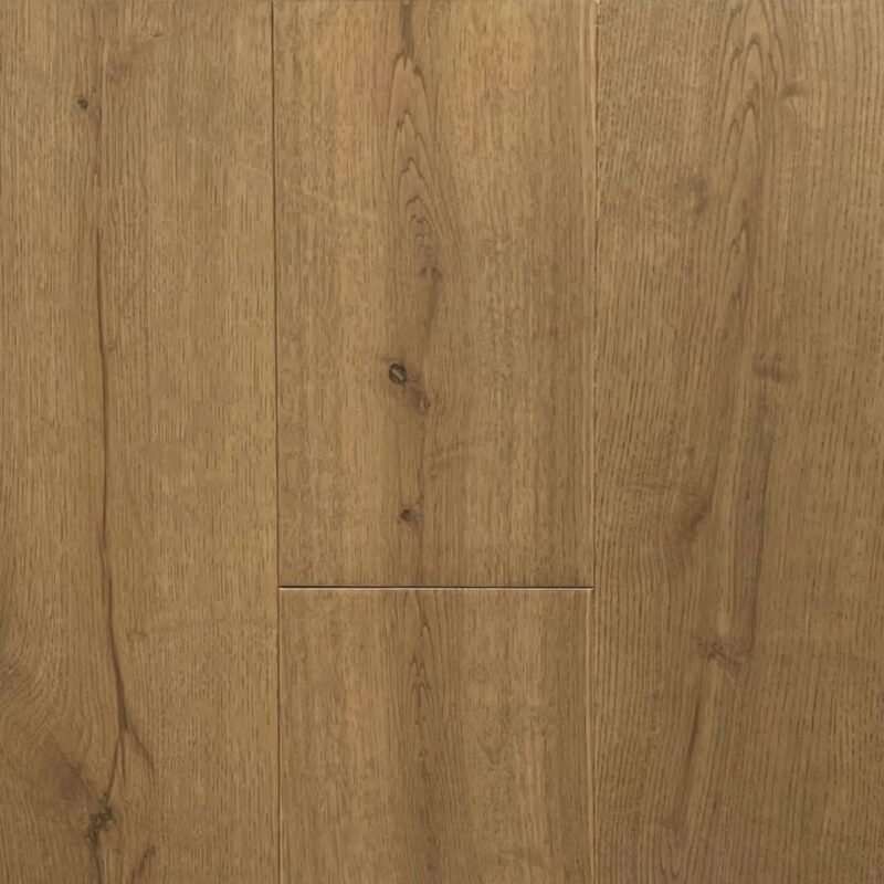WB1365 - CAPRI