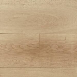 WB1374 - REVELLO