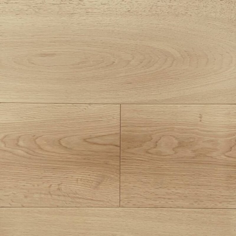 WB1374 - REVELLO