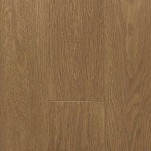 WB1385 - SIENA