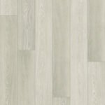 801 Sandy Shell
