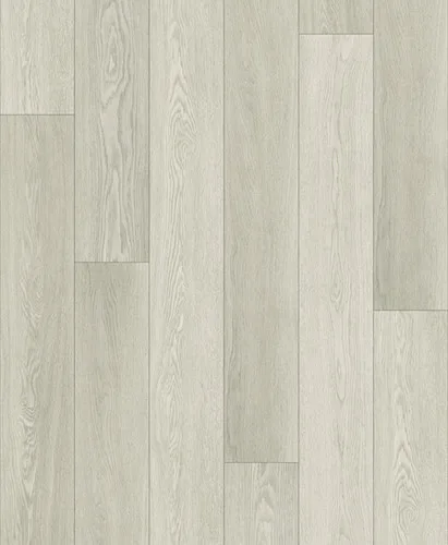 801 Sandy Shell