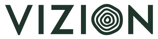 Vizion logo