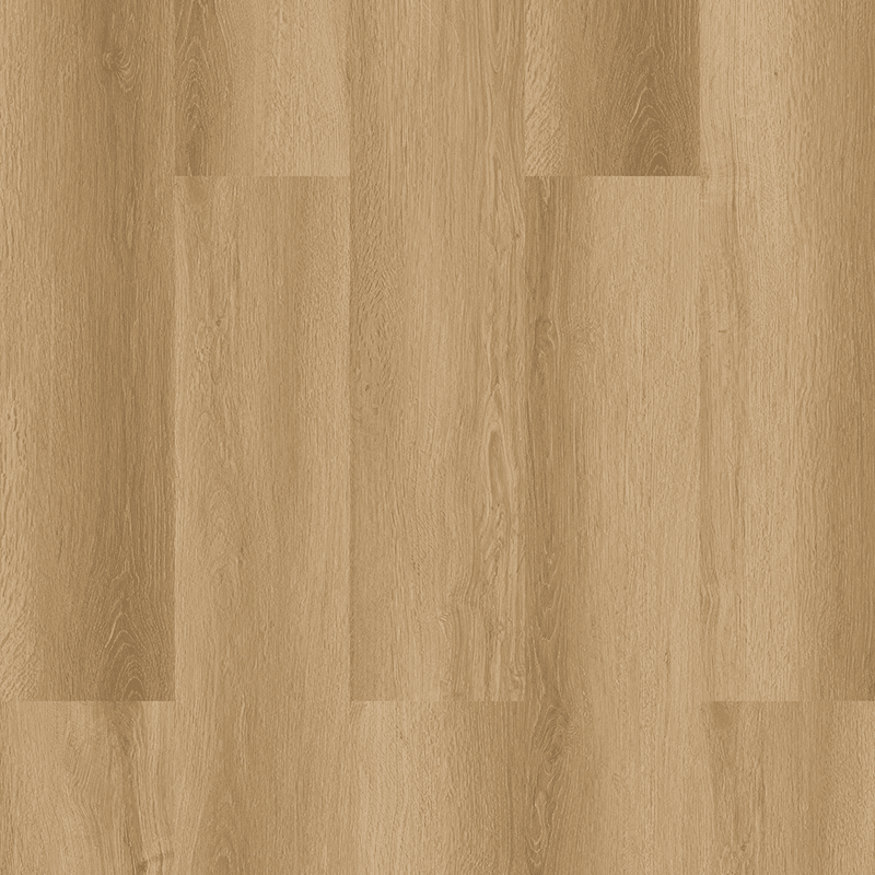 Vizion Banff 8mm vinyl plank flooring V8001