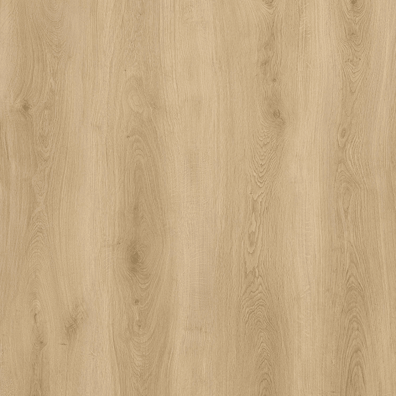 Vizion Forillon 8mm vinyl plank flooring V8006