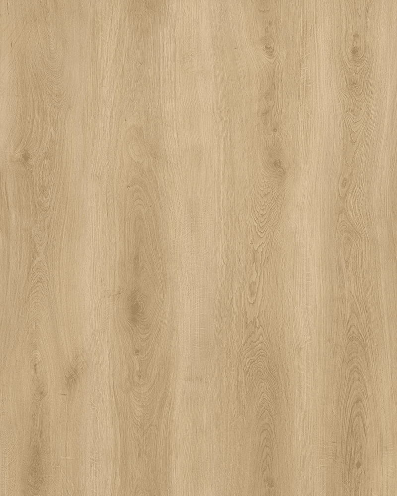 Vizion V8006 Forillon 8mm Vizion Forillon 8mm vinyl plank flooring V8006