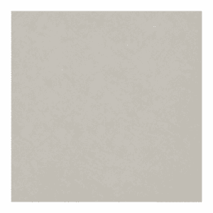 Regal Eggshell White Matte 18x18 porcelain tile